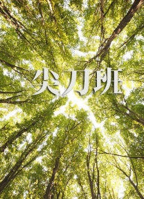 亚洲精品国产综合一线久久